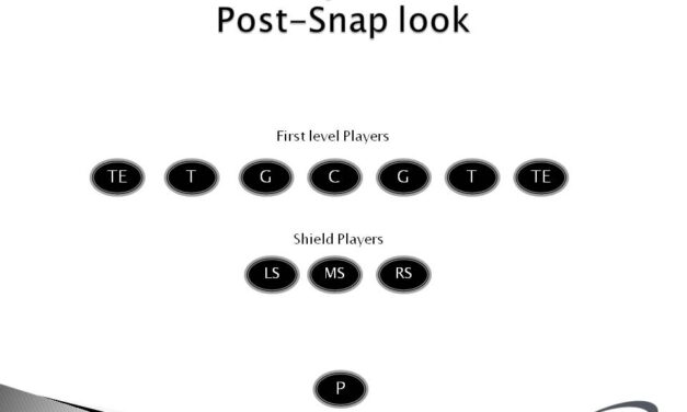 The Efficiency of the Shield Punt Scheme