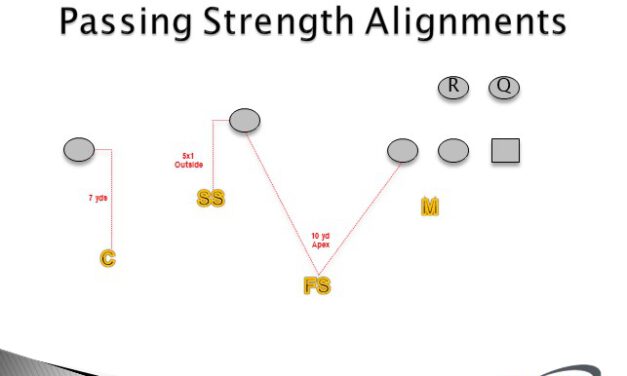 OC]I have trouble interpreting most of the strength/weakness charts that I  come across, so I made one that makes more sense to me. It focuses on what  works best offensively and defensively