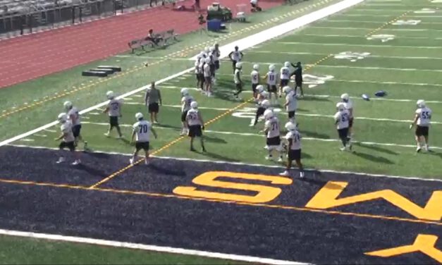 Bird Dog Drill (Middle Zone)- Trinity College (CT)