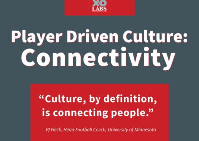The Player Driven Culture System Case 2: Connectivity