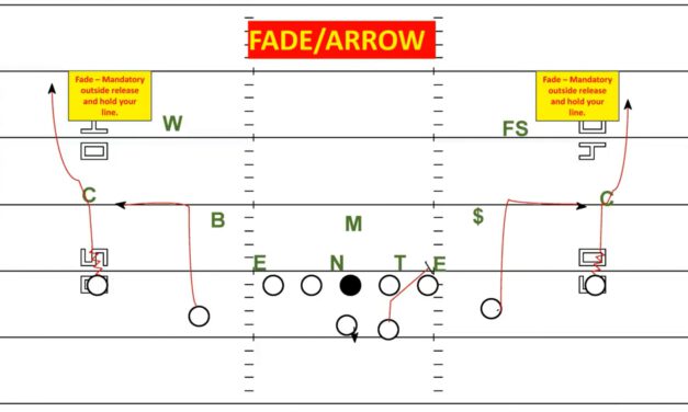 Fade Out Concept- Ferris State (MI)