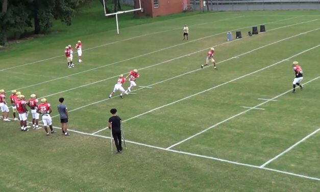 Steal/Sluff and Apex/Overlap Drill (Robber Emphasis)- Bridgewater College (VA)