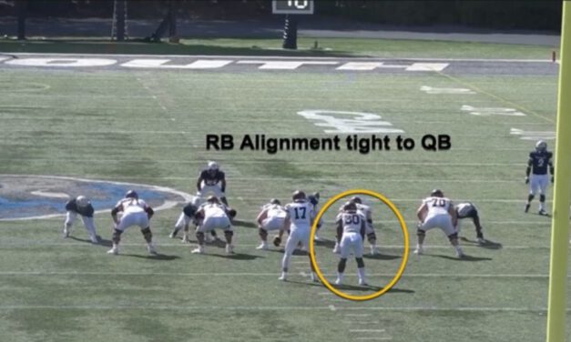 Flip Mesh Mechanics in Boundary RPO Concepts