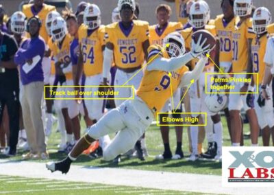 Drilling the 5 Catch Categories to Enhance WRs Production