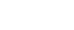 Scouting-Analytics Anton Regular 306 A.I. PROTOCOLS