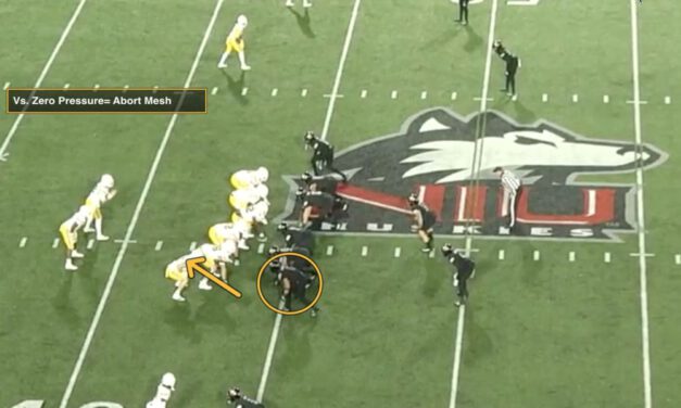 Western Michigan’s QB Duo Concept