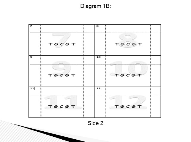 Diagram 1B