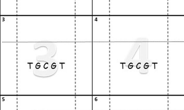 Sheet Templates to Create Offensive Scout Team Efficiency